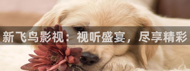 桔子影院热播日剧有哪些