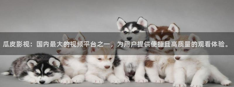 桔子在线观看免费高清电视剧